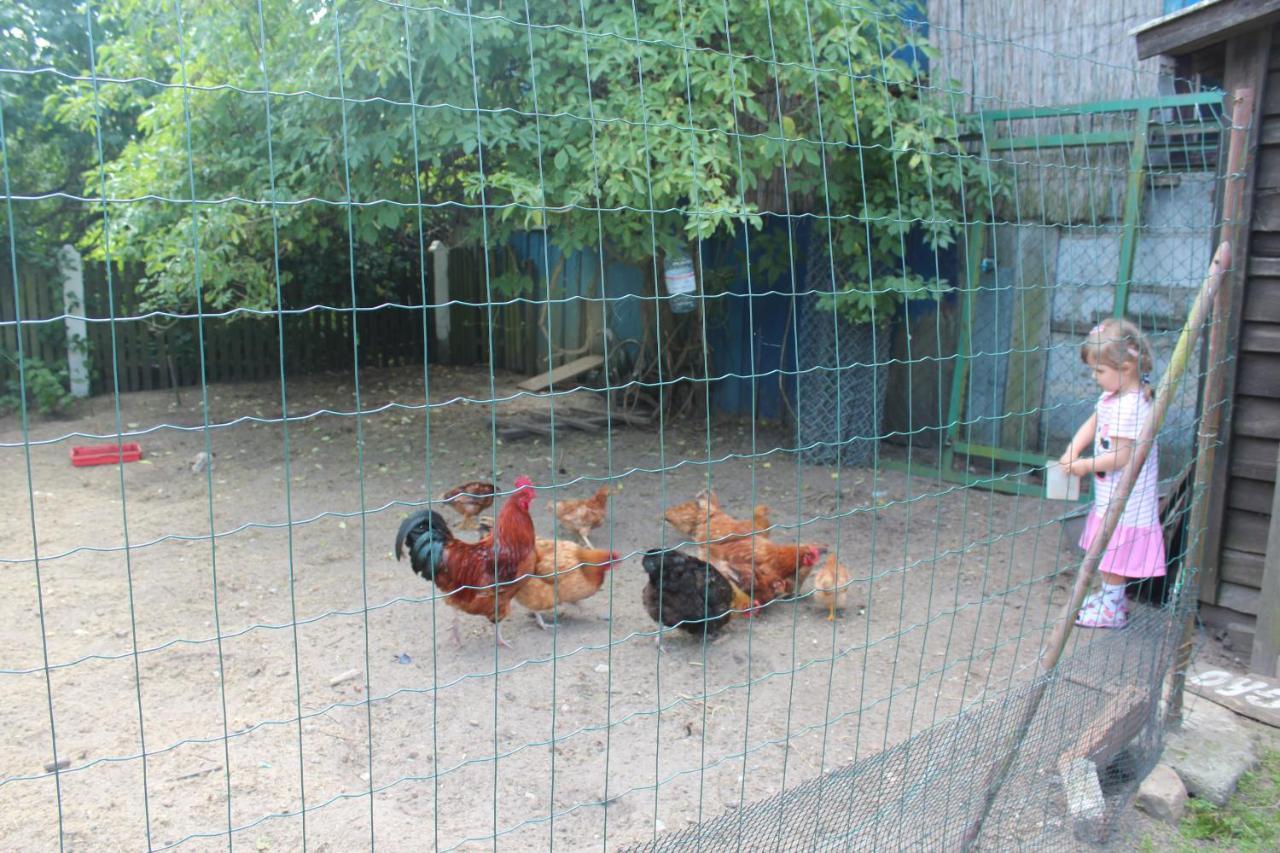 Agroturystyka Kociewiak Szteklin Kültér fotó